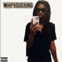 why you lying (feat. mirr)