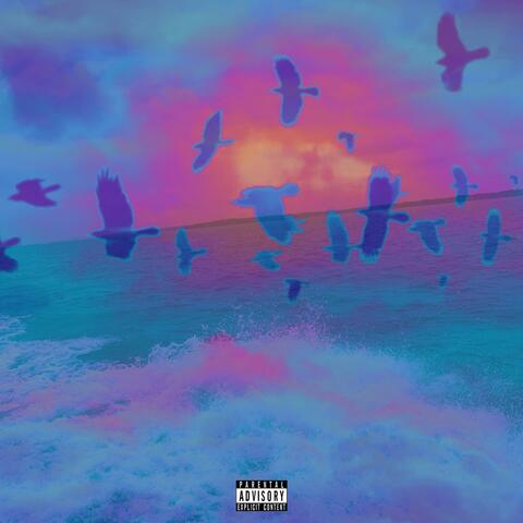 Oh Well, Summers Mine