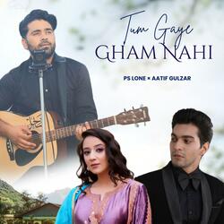 Tum Gaye Gham Nahi (feat. Faiz Allie, Bisma Mir & Ps Lone)
