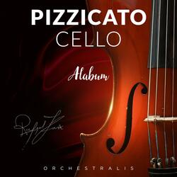Inspiring Classical Pizzicato Cello