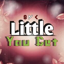 Little You Get