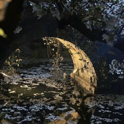 tried my best (feat. FarrellB)