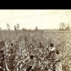 OUR REPARATIONS