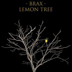 Lemon Tree