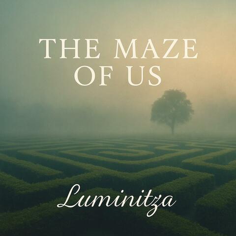 The Maze Of Us