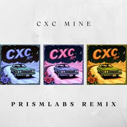 Mine  (Prismlabs Remix)