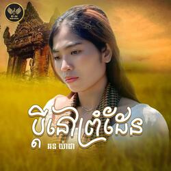 ប្តីនៅព្រំដែន-យ៉ាដា
