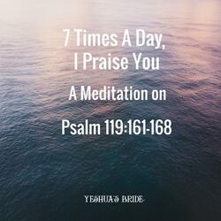 7 Times A Day, I Praise You (A Meditation on Psalm 119:161-168)