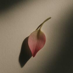 Every Moment Hangs In Time (Demo)