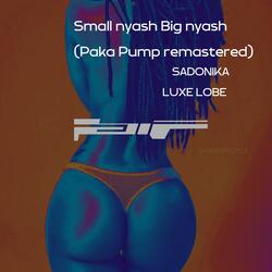 Small nyash Big nyash (feat. Luxe Lobe) (Paka Pump remastered)