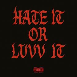 Hate/Luvv