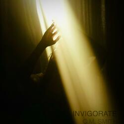 INVIGORATE (Original Social Media Soundtrack)