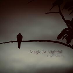 Magic At Nightfall (Original Social Media Soundtrack)