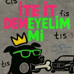İTE İT DEMEYELİM Mİ?