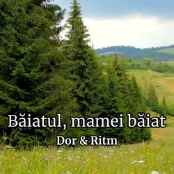 Băiatul, mamei băiat