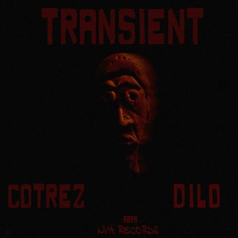 TRANSIENT (feat. DILO THE NVA)