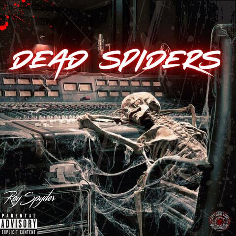 Dead Spiders