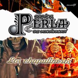 Los Chapulineros