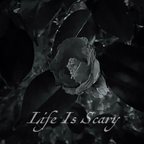Life Is Scary