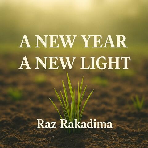 A New Year, A New Light