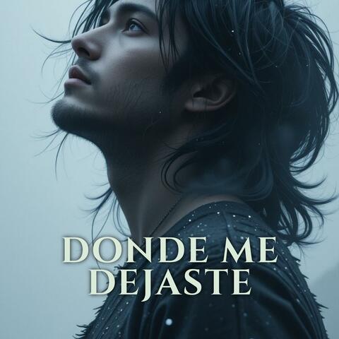 Donde Me Dejaste
