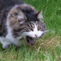 The warmth of silence