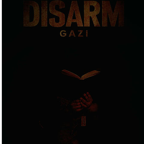 DISARM GAZI