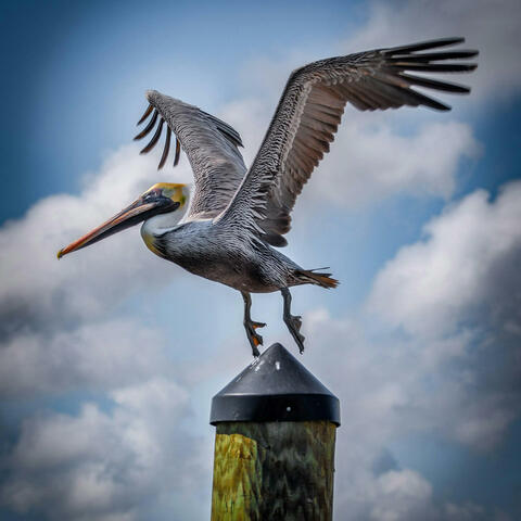 God Knows Your Worth