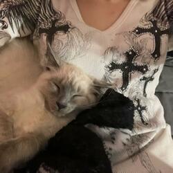 BROTHERS TILL THE END (SELL MY SOUL) (feat. kyszenn)