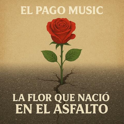 La Flor que Nació en el Asfalto
