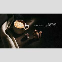 quiet afternoon to hold