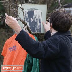 The Appreciation of The Beautiful Sexy