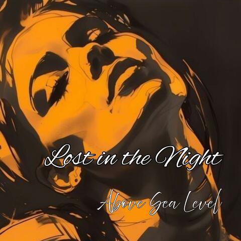 Lost in the Night