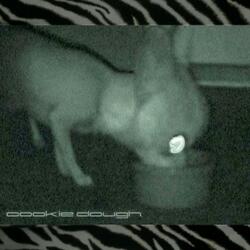 cookie dough (feat. RiCK!)