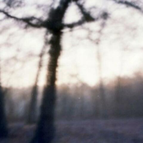 tell you (feat. Kynlary)