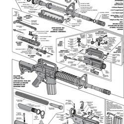 FRIED SLIDE LIVE (Live)