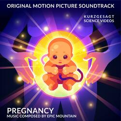 Pregnancy