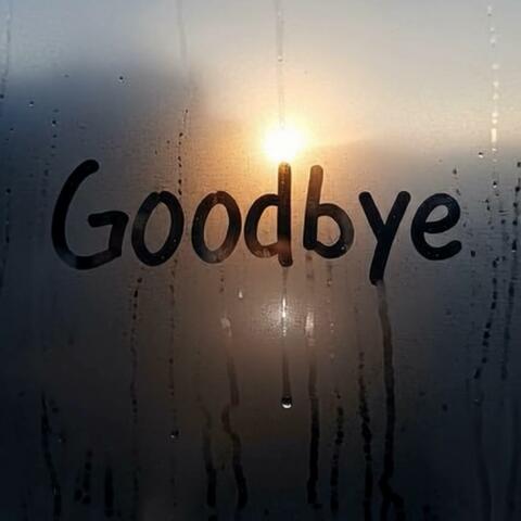 Goodbye