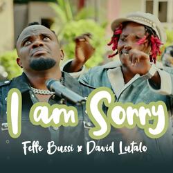 I am Sorry (feat. David Lutalo)