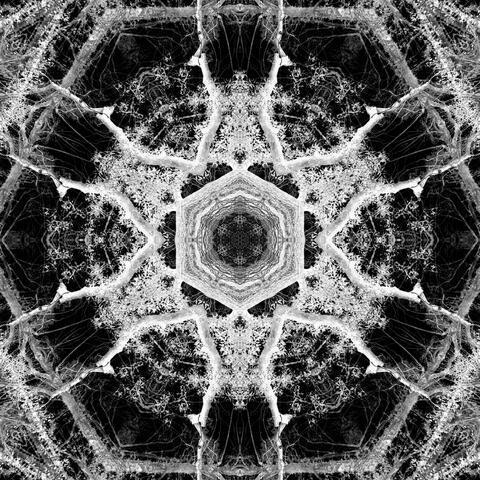 Foolish Ambitions (feat. Ferris Wheels & Trygant) [Bonus Version]