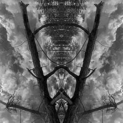 The Mountain Has Fallen