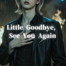 Little Goodbye, See You Again