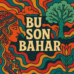 Bu Son Bahar