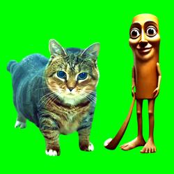 OIIA OIIA Tung Tung Tung Sahur Spinning CAT