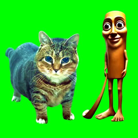 OIIA OIIA Tung Tung Tung Sahur Spinning CAT