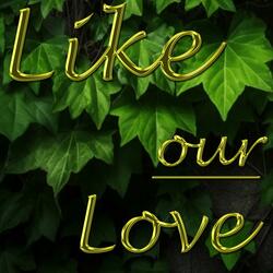 Like Our Love