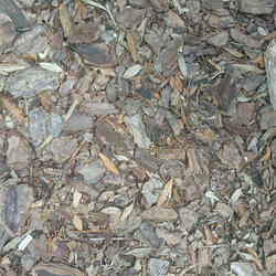 Earth is so beautiful