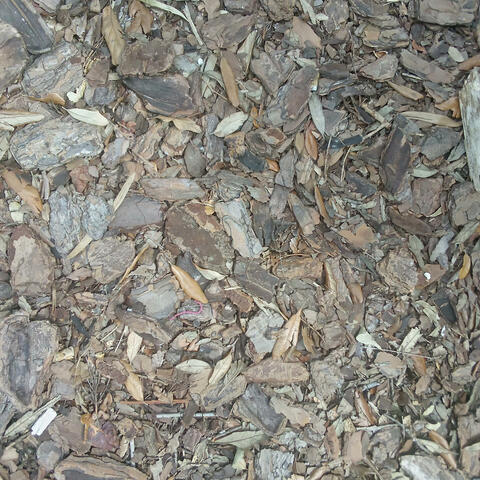 Earth is so beautiful