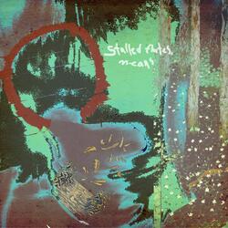 Look Close, Nose the Reflection