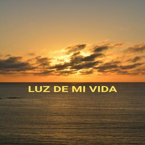 LUZ DE MI VIDA